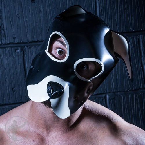 Rubber Pup Mask