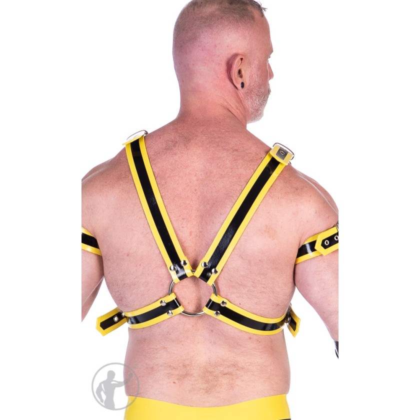 Rubber Upper Body Harness With Trim