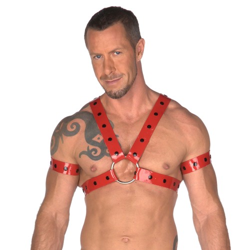 Rubber Studded Upper Body Harness